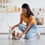loving-korean-lady-petting-her-dog-while-feeding-i-2022-12-16-07-47-17-utc-qdlxx7tyqlnm6kh1rb8y4x2ha5062s9q31tlt4zqu8